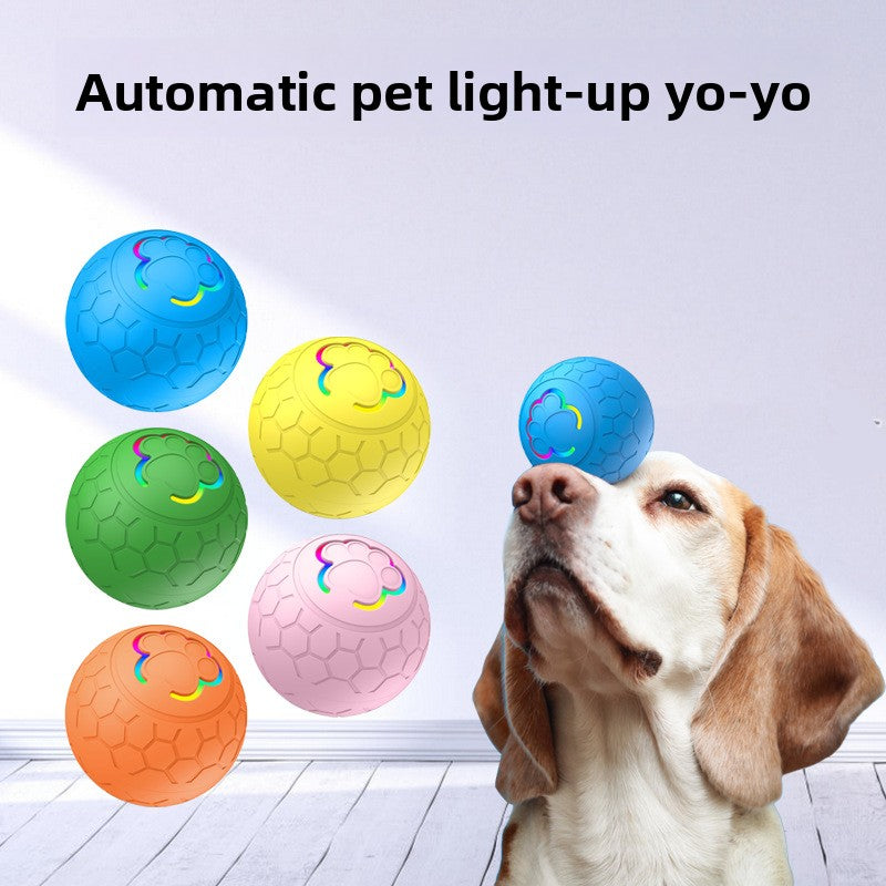 Rechargeable LED Interactive Pet Ball